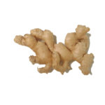 Ginger