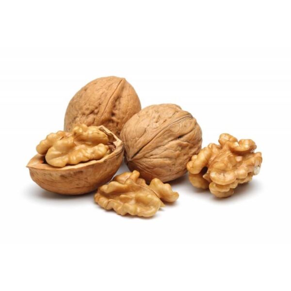 Walnut