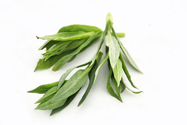Strigoli